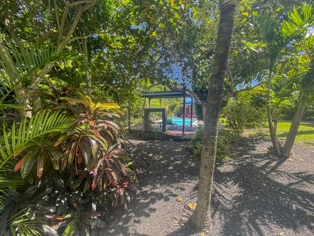 33.Location villa piscine St François Guadeloupe_Piscine